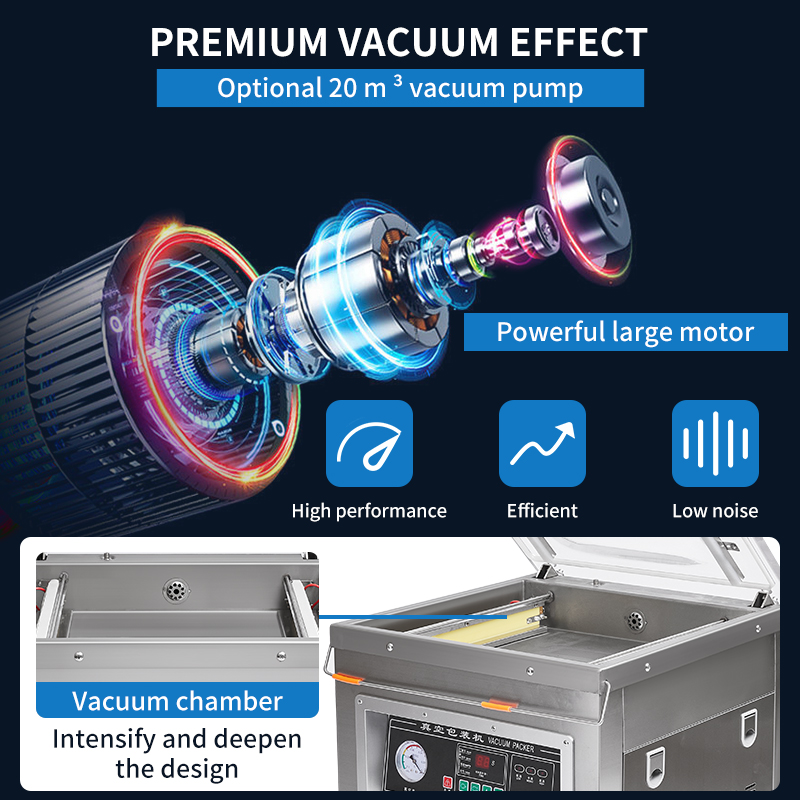 Dz-400 전문가용 데스크탑 진공 포장기 자동 상품/ - Food Vacuum Sealer 리뷰 및 가격